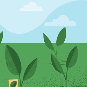 Meet your Posher, Mercedes